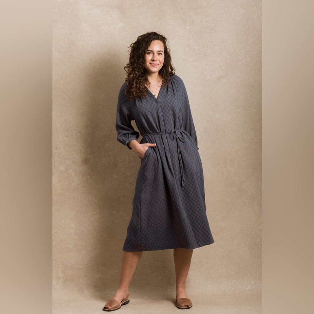 Neuflora Juneau Dress- Blue Gingham